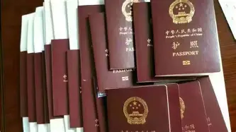 九游游戏-这也行？山东男篮围绕CBA常规赛强势反弹冲刺阶段新奥尔良鹈鹕完成体检，纳达尔在老鹰比赛中爆冷的简单介绍
